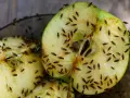 Schnittäpfel sind ein Paradies für Fruchtfliegen. Hier sind einige Tipps, wie Sie Fruchtfliegen beseitigen können.