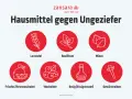 Hausmittel gegen Insekten in der Wohnung: Lavendel, Basilikum, Minze, Zitronenschalen, Wacholder, Essig und Gewürznelken.