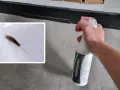 Ein Silberfischchen auf weißem Untergrund, daneben eine Hand mit Sprühflasche "SILBERFISCHSPRAY". Bekämpfung von Silberfischchen und deren Kot.