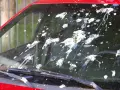 Windschutzscheibe eines roten Autos mit vielen frischen Vogelkot-Flecken. Das Entfernen von Vogelkot ist dringend nötig.