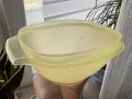 Vergilbtes Kunststoff reinigen: Eine Hand hält eine gelbliche Schüssel mit Deckel, daneben eine Pflanze.