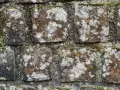 Alte Steinmauer mit Moos und Flechten. Die Steine sind unregelmäßig geformt und von der Zeit gezeichnet.
