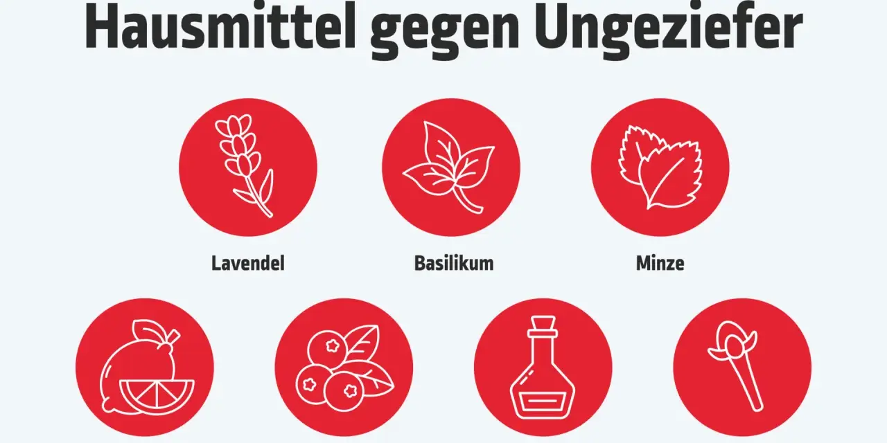 Hausmittel gegen Insekten in der Wohnung: Lavendel, Basilikum, Minze, Zitronenschalen, Wacholder, Essig und Gewürznelken.