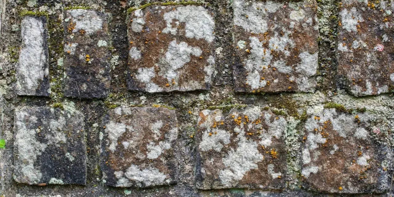 Alte Steinmauer mit Moos und Flechten. Die Steine sind unregelmäßig geformt und von der Zeit gezeichnet.