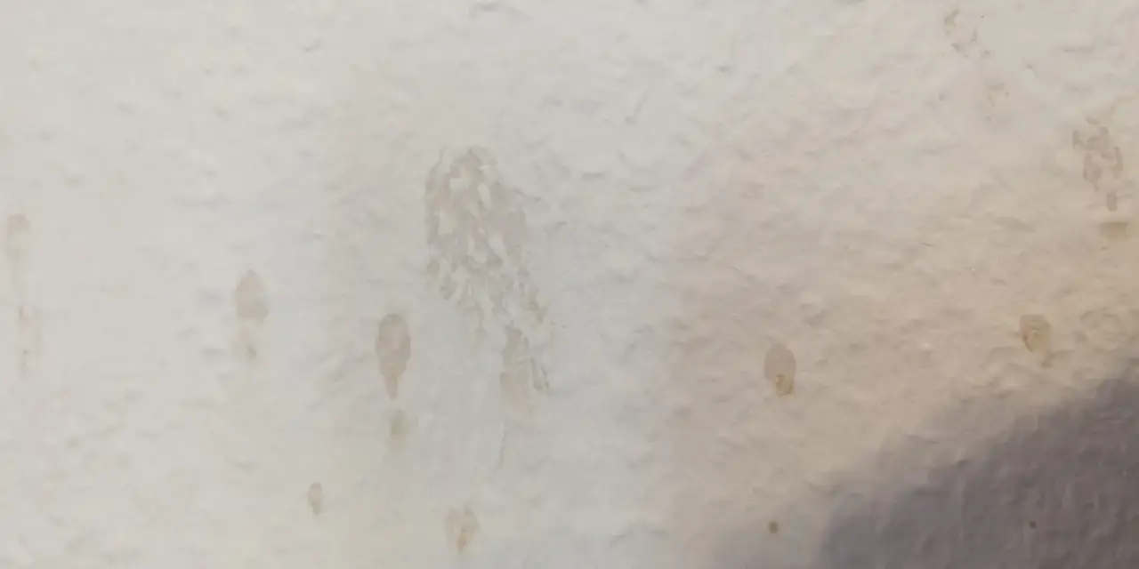Helle Wand mit einigen unregelmäßigen, hellbraunen Kaffeeflecken, die wie kleine Spritzer und ein größerer, verschmierter Fleck aussehen.