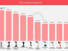 Vergleich von Dampfbürsten: Tefal Pure Force mit 35 g/min, Braun QuickStyle 7 mit 35 g/min, Russell Hobbs mit 32 g/min. Die Dampfbürste von Lidl ist nicht aufgeführt.