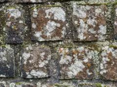 Alte Steinmauer mit Moos und Flechten. Die Steine sind unregelmäßig geformt und von der Zeit gezeichnet.