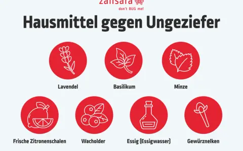 Hausmittel gegen Insekten in der Wohnung: Lavendel, Basilikum, Minze, Zitronenschalen, Wacholder, Essig und Gewürznelken.
