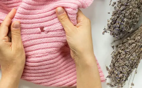 Hände prüfen ein rosafarbenes Strickteil auf Löcher, ein Zeichen, dass man Kleidermotten erkennen muss. Lavendelzweige liegen daneben.