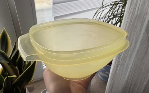 Vergilbtes Kunststoff reinigen: Eine Hand hält eine gelbliche Schüssel mit Deckel, daneben eine Pflanze.