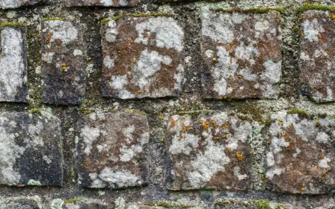 Alte Steinmauer mit Moos und Flechten. Die Steine sind unregelmäßig geformt und von der Zeit gezeichnet.