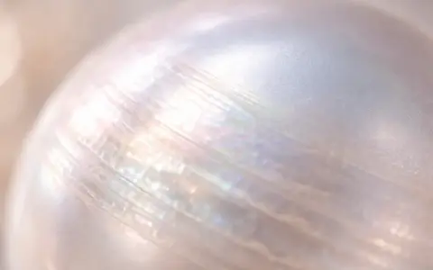 Nahaufnahme einer schimmernden Perle, die auf Glanz und Pflege für eine Perlenkette hinweist.