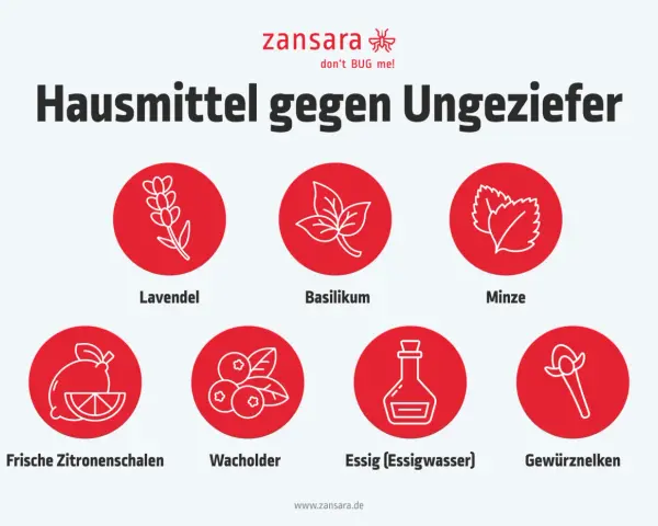 Hausmittel gegen Insekten in der Wohnung: Lavendel, Basilikum, Minze, Zitronenschalen, Wacholder, Essig und Gewürznelken.