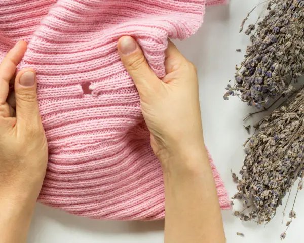 Hände prüfen ein rosafarbenes Strickteil auf Löcher, ein Zeichen, dass man Kleidermotten erkennen muss. Lavendelzweige liegen daneben.