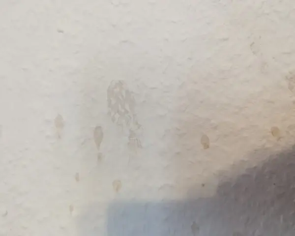 Helle Wand mit einigen unregelmäßigen, hellbraunen Kaffeeflecken, die wie kleine Spritzer und ein größerer, verschmierter Fleck aussehen.
