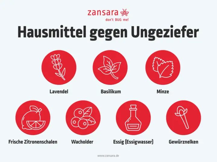Hausmittel gegen Insekten in der Wohnung: Lavendel, Basilikum, Minze, Zitronenschalen, Wacholder, Essig und Gewürznelken.