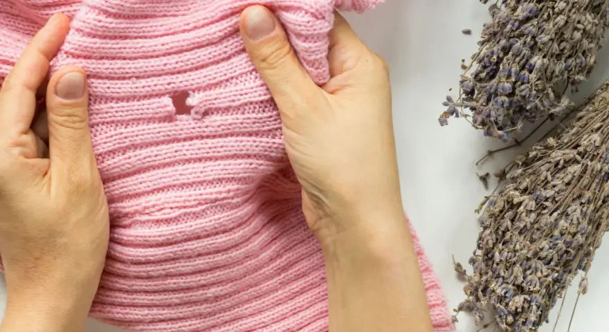 Hände prüfen ein rosafarbenes Strickteil auf Löcher, ein Zeichen, dass man Kleidermotten erkennen muss. Lavendelzweige liegen daneben.