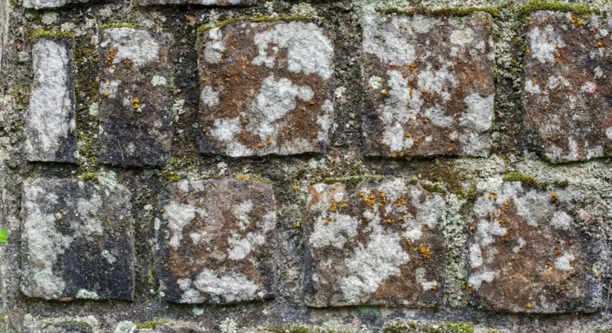 Alte Steinmauer mit Moos und Flechten. Die Steine sind unregelmäßig geformt und von der Zeit gezeichnet.