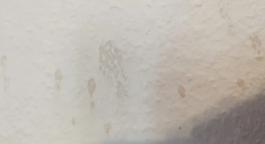 Helle Wand mit einigen unregelmäßigen, hellbraunen Kaffeeflecken, die wie kleine Spritzer und ein größerer, verschmierter Fleck aussehen.