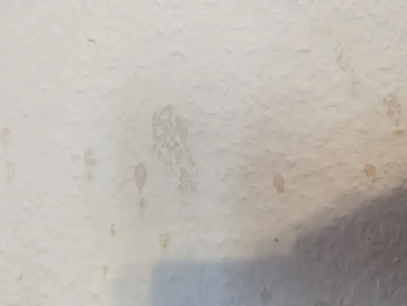 Helle Wand mit einigen unregelmäßigen, hellbraunen Kaffeeflecken, die wie kleine Spritzer und ein größerer, verschmierter Fleck aussehen.